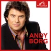 Andy Borg - Adios Amor - Neuaufnahme